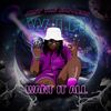 Want it All cover