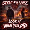 Look At What You Did cover